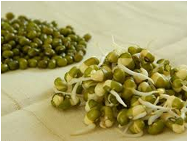 Health Benefits Of Sprouts Sprouting At Home