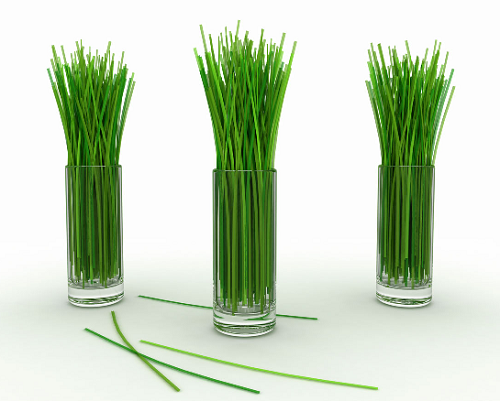 Lose Weight With Lemongrass