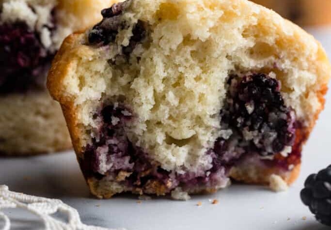 Blackberry Muffins image 683x1024 1