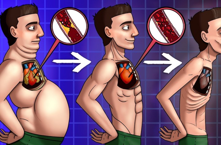 What Happens When You Stop Eating (Science-Based)