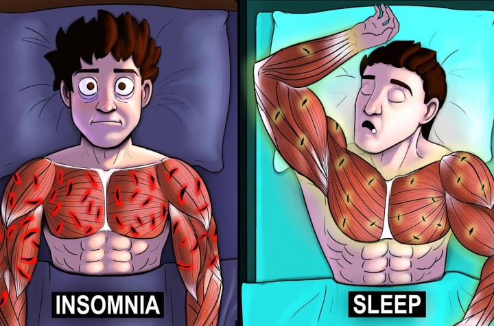 What Happens When You Sleep? (Science-Based)